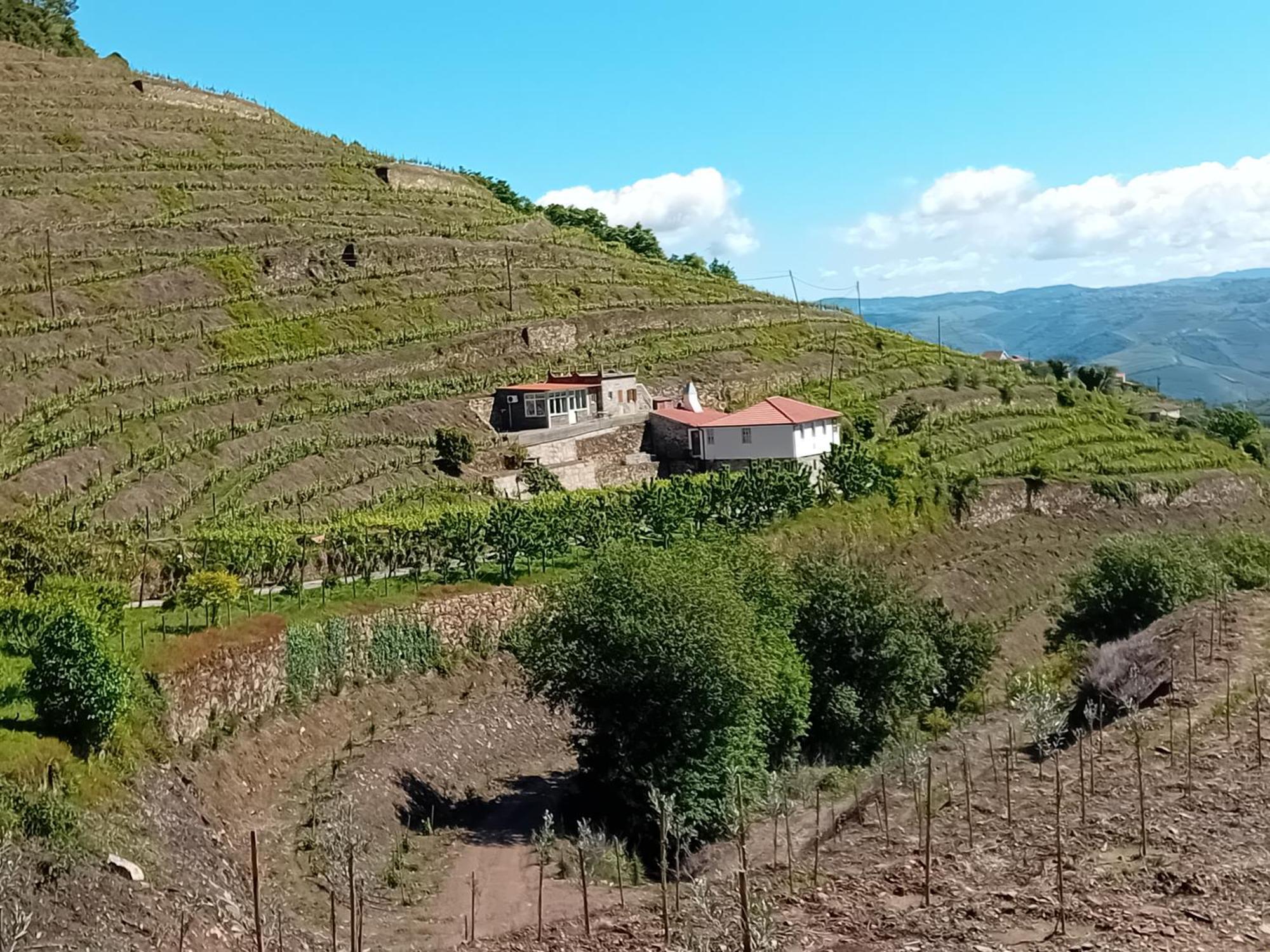 Casa Da Quinta Do Porto Villa Ламего Екстериор снимка