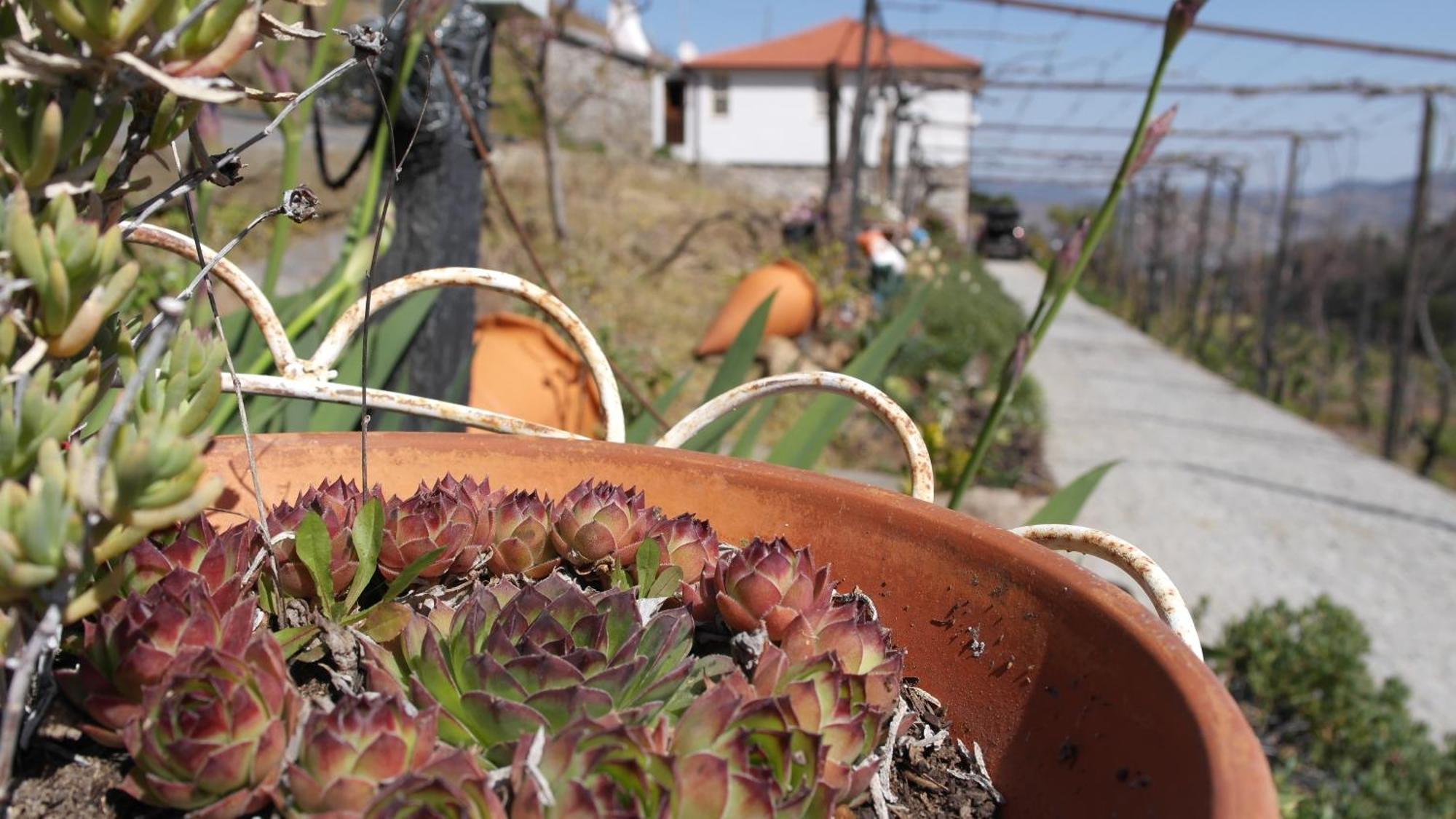 Casa Da Quinta Do Porto Villa Ламего Екстериор снимка